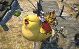 Fat_chocobo